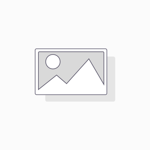 5339003SFT SUSPENSION&DIRECCION GOMAS SUSPENSION